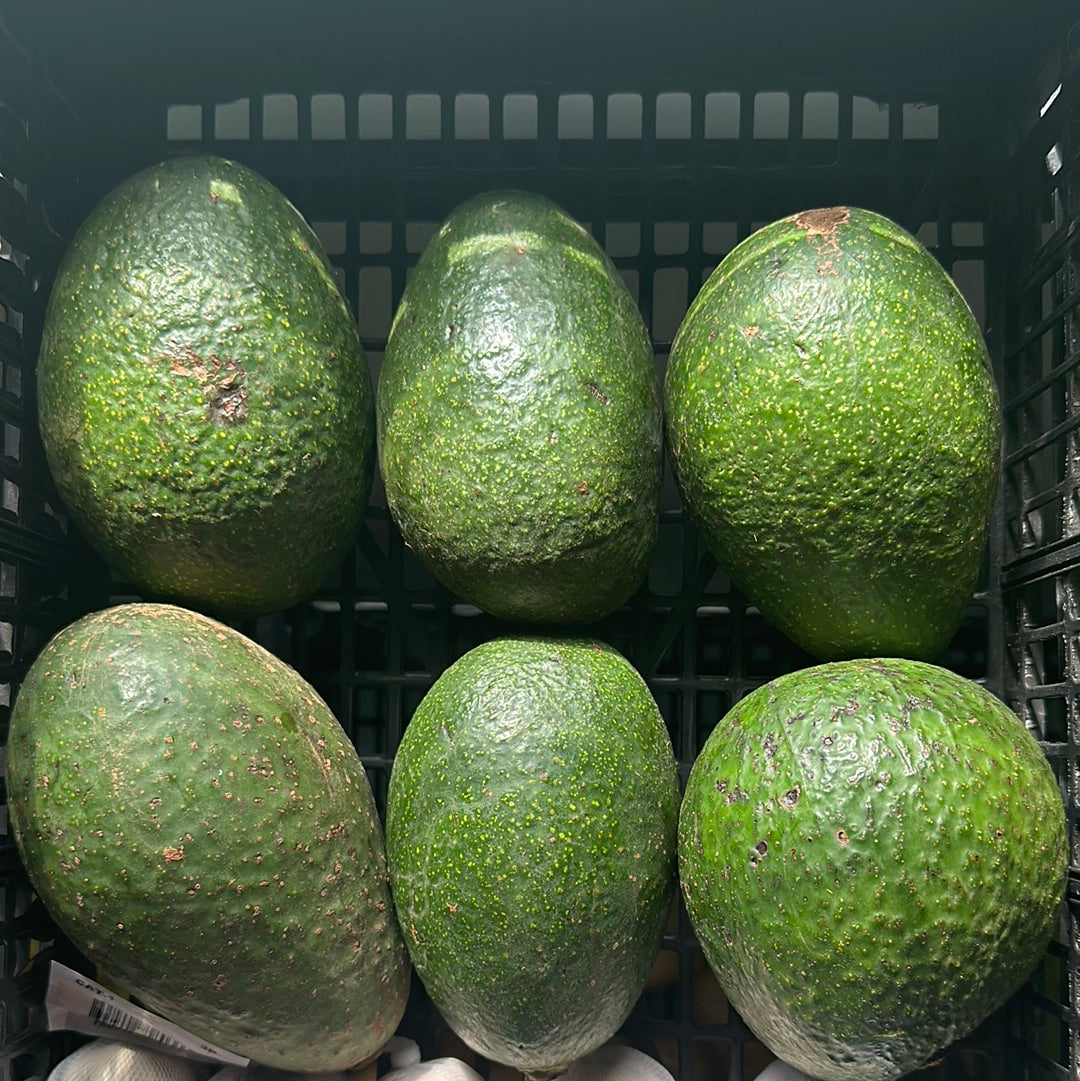 AGUACATE CRIOLLO 1KG