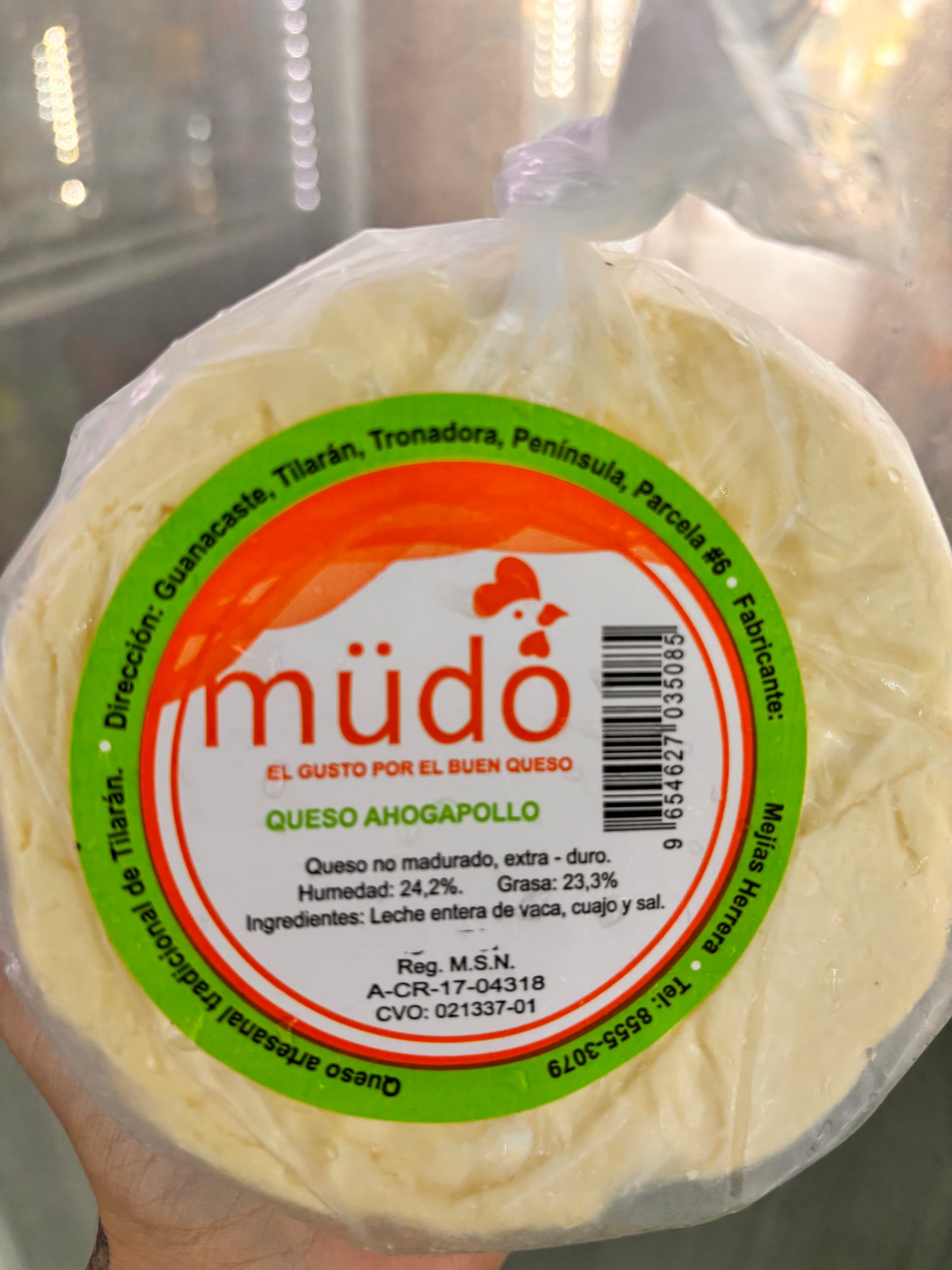 QUESO MUDO