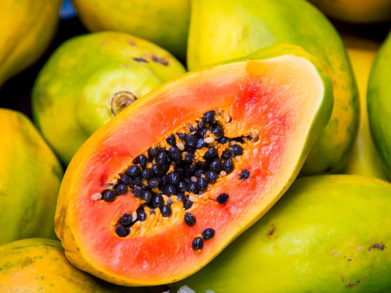 PAPAYA UNIDAD