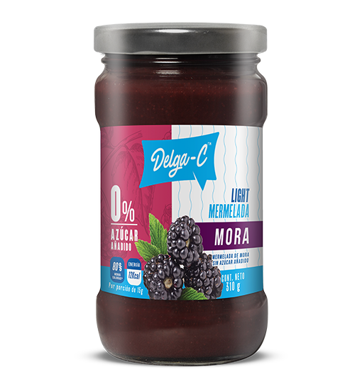 JALEA DELGA-C MORA VIDRIO 310G